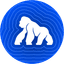 APE