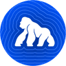 APE